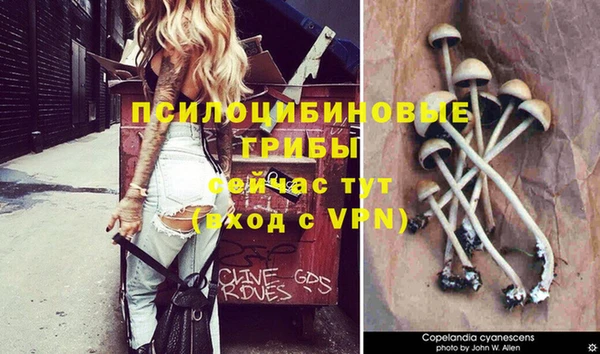 бутират Аркадак