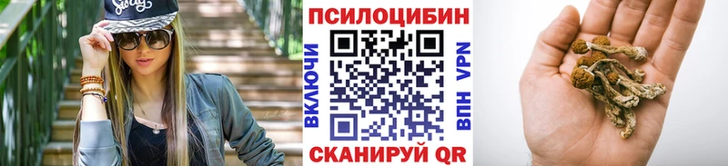 Галлюциногенные грибы Magic Shrooms  Полярный 